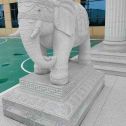 珠海 白麻花岗岩动物异形石雕-大象