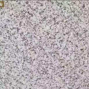 珠海白麻火烧面