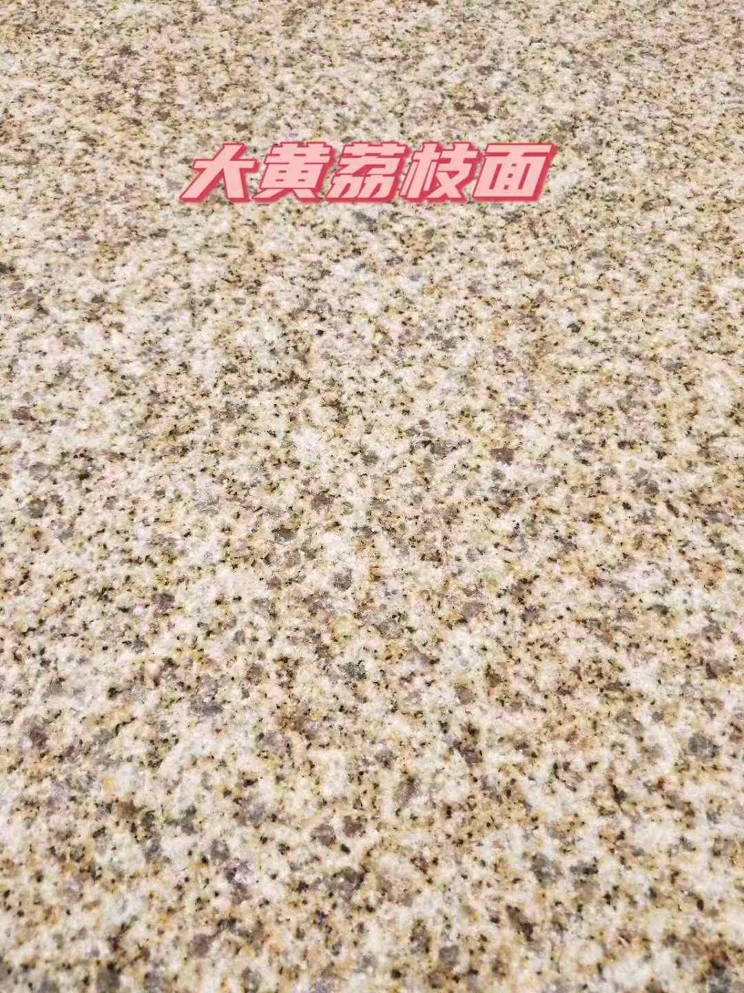 珠海黄金麻大黄荔枝面