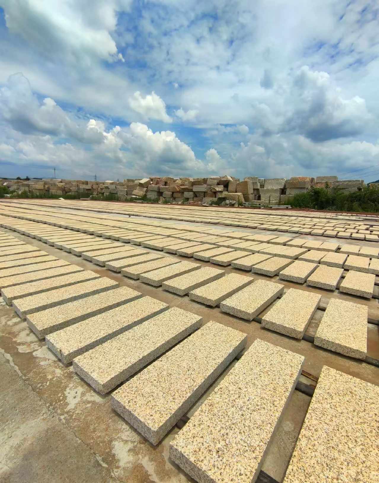 珠海 黄金麻荔枝面花岗岩石材地铺石防护中